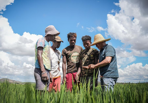 AU, China renew partnership to advance modern agricultural technology in Africa