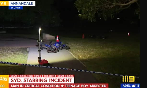 Teenager Arrested After Man Critically Injured In Sydney Public Park Stabbing