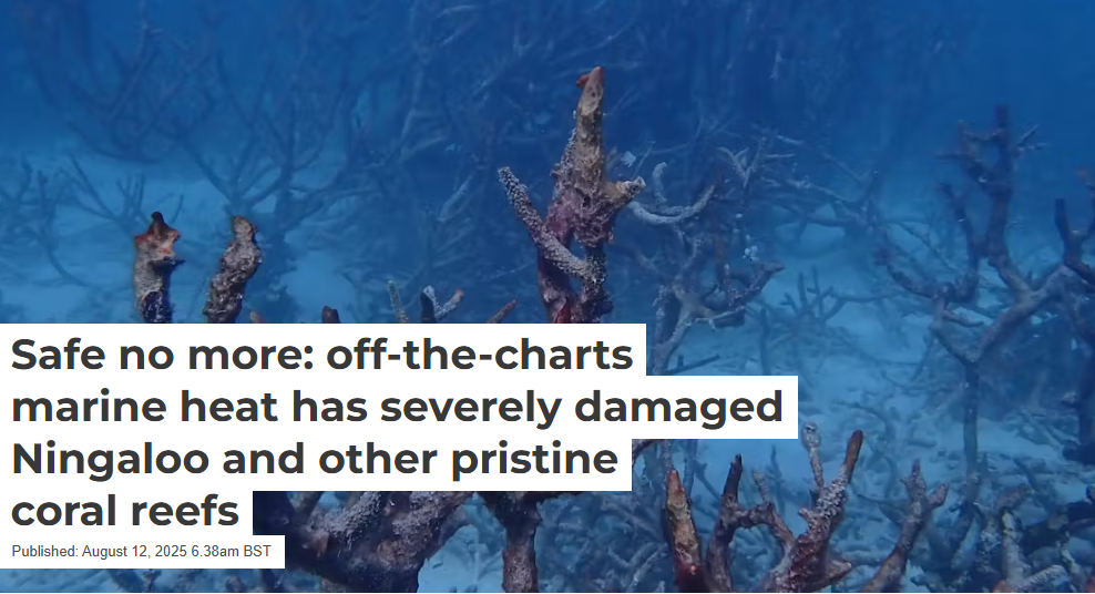 Worst Coral Bleaching On Record Hits Western Australia In Unprecedented Heatwave
