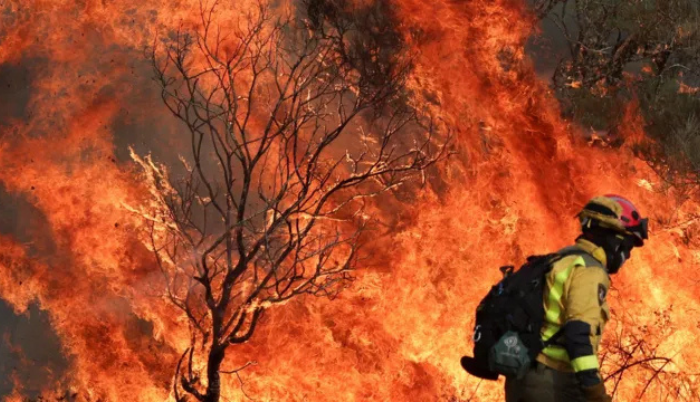 Update: EU sends wildfire help to Spain as death toll rises