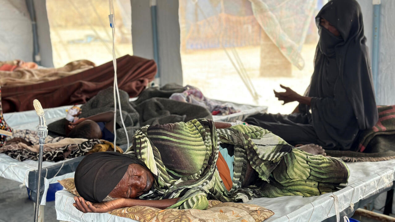 Sudan crisis: At least 40 dead in worst cholera outbreak in years – MSF