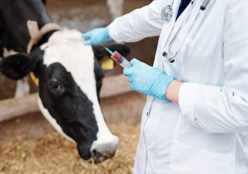 Tanzania: Government vaccinates over 34 million livestock