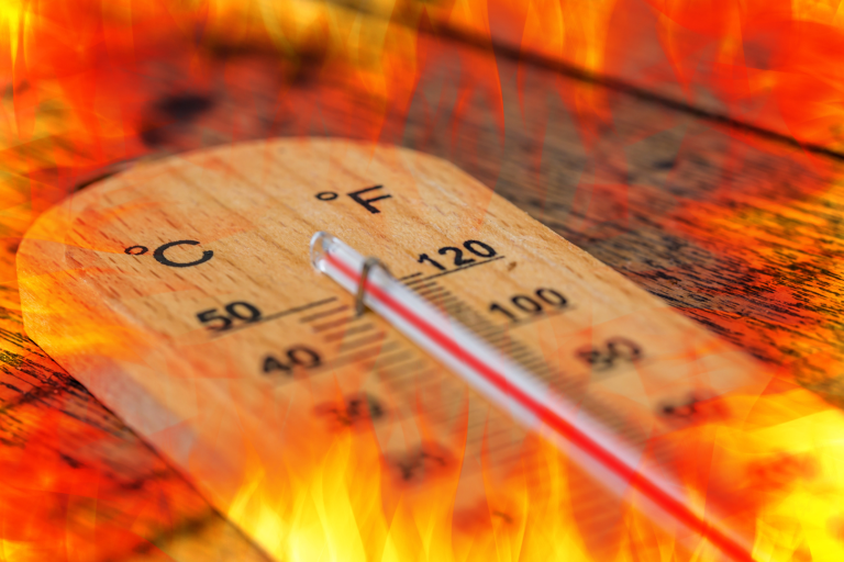 Extreme heat taking toll on people worldwide, WMO warns