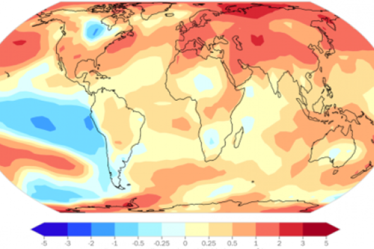 World sees third-warmest July with slight respite in global temperatures