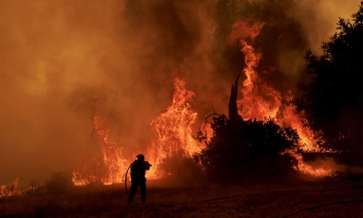 Morocco: Forest fire sweeps through northern tourist city of Chefchaouen