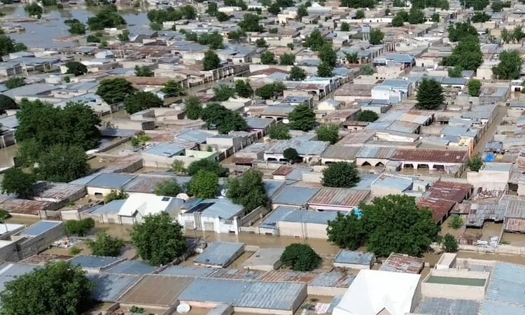 Nigeria: Hundreds of houses damaged in northeast Potiskum city flood