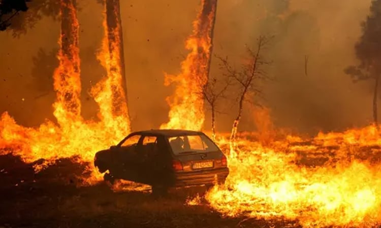 Europe wildfires: Portugal claim first victim, as Spain on alert