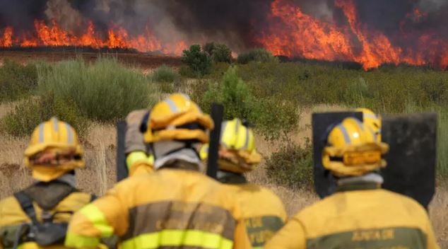 Spain wildfires: PM Sanchez says ‘difficult hours’ left in wildfire fight