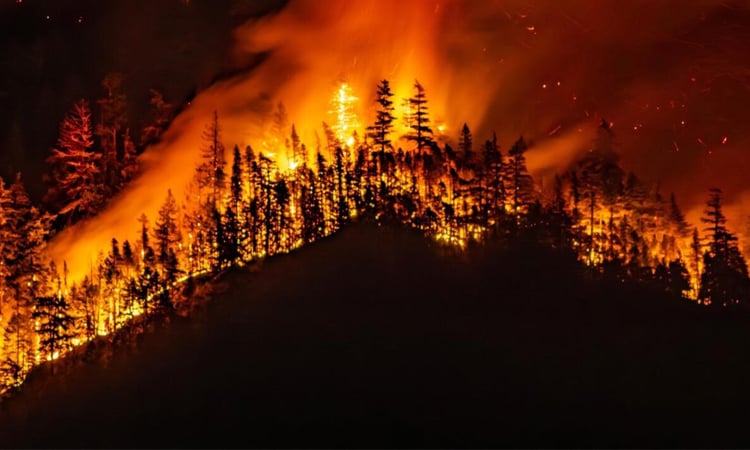 Canada: Threat from massive western wildfire eases
