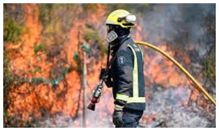 Spain’s wildfires almost vanquished: official