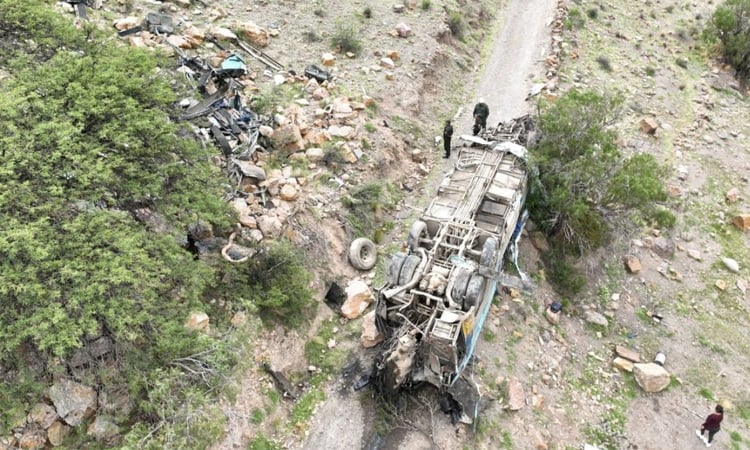 Ecuador: 9 dead after bus plunges into ravine