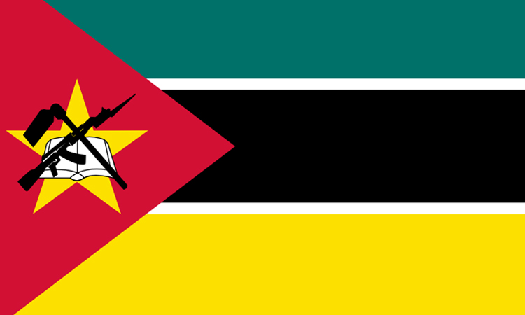 UN IOM: 16 Mozambicans trafficked to Laos rescued, repatriated