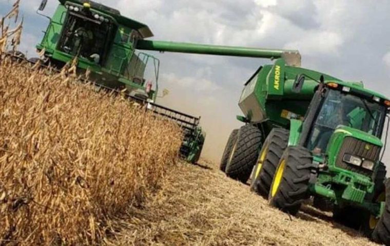 Brazil: Record harvest of corn and soybeans, more area sown and good weather