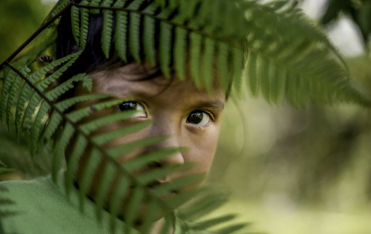 UN: Violence against children in Brazilian Amazon worse than elsewhere in the country