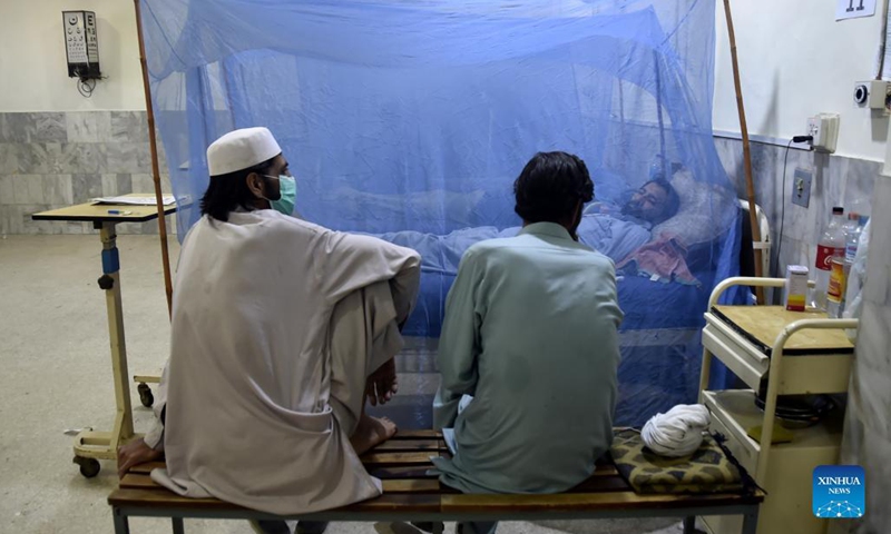11 New Dengue Cases Reported In Pakistan’s Capital
