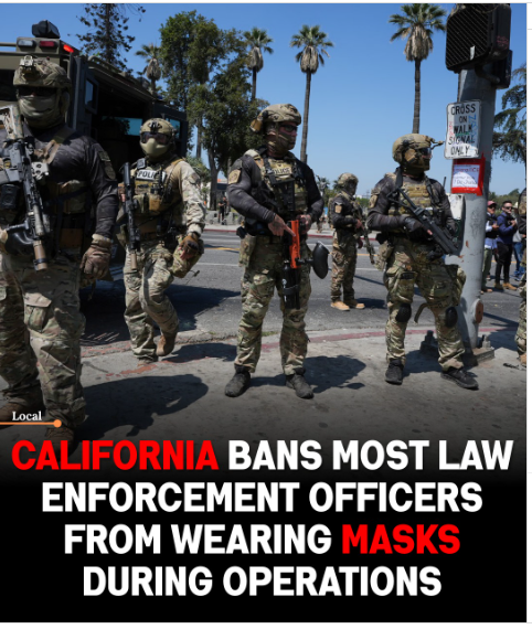 California Bans Masks For Immigration Agents During Operations