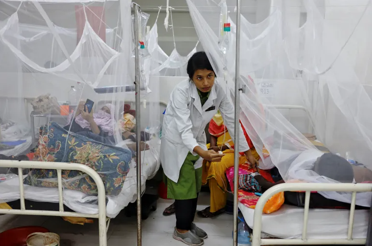Bangladesh Records Highest Daily Spike Of 845 Dengue Cases