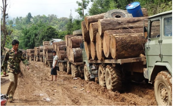 Myanmar Seized Over 63.9 Tonnes Of Illegal Timber, Arrested 16 Offenders