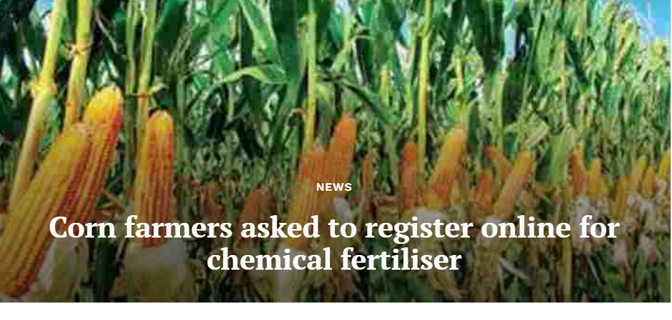 Sri Lanka Opens Online Registration For Maize Farmers Next Season
