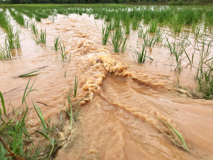 Agricultural Damage From Recent Storms In Philippines Nears 24 Million USD