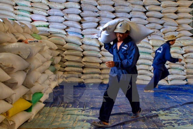 Vietnam’s Rice Export Turnover Tops Three Billion USD