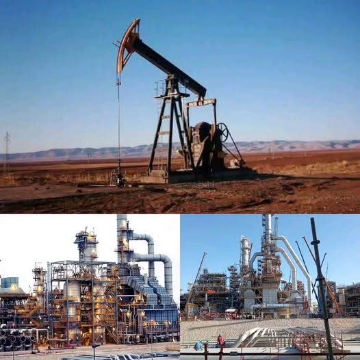 Egypt Announces New Oil, Gas Discoveries In Western Desert, Nile Delta
