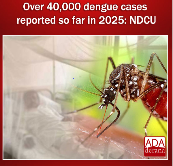 Over 40,000 Dengue Cases Reported In Sri Lanka So Far This Year