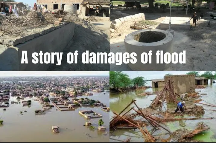 Pakistan Estimates 2.9 Billion USD In Flood Damages: Minister