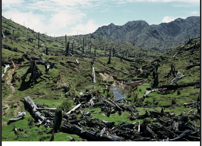 New Zealand Sees Ongoing Loss Of Indigenous Land Cover Amid Urban Growth