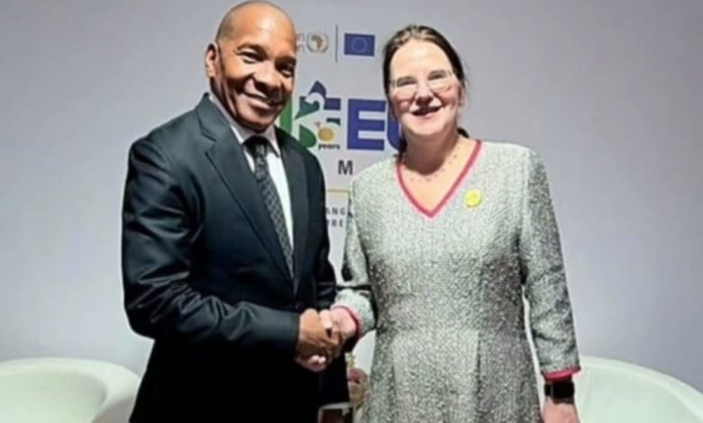 Tanzania, Estonia deepen ties in digital technology, cybersecurity, investment