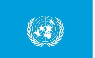 UN seeks probe into ‘enforced disappearance’ of Guinea junta critic’s children