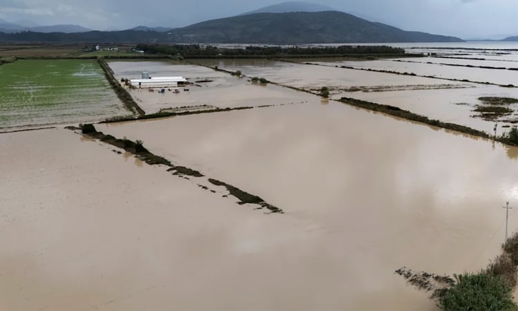 Floods hit Albania, leave one dead, 200 families evacuated